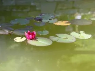 Huldi 호텔